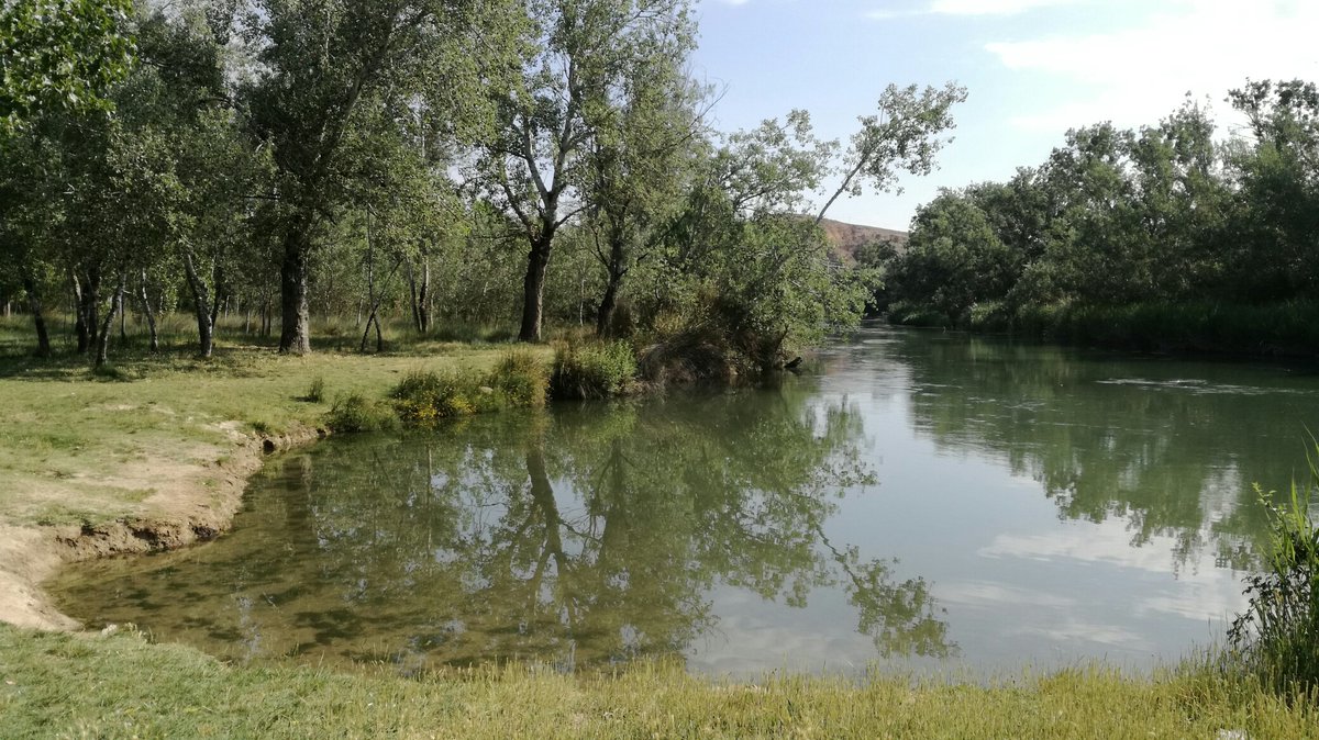Para quienes aún no lo tienen claro:

✖️ Está prohibido el baño en todos los ríos, embalses y piscinas naturales de la <a href="/ComunidadMadrid/">Comunidad de Madrid</a> 

El incumplimiento de la norma puede ser sancionado por #AgentesForestalesCM que realizan tareas de vigilancia y control en estas zonas.