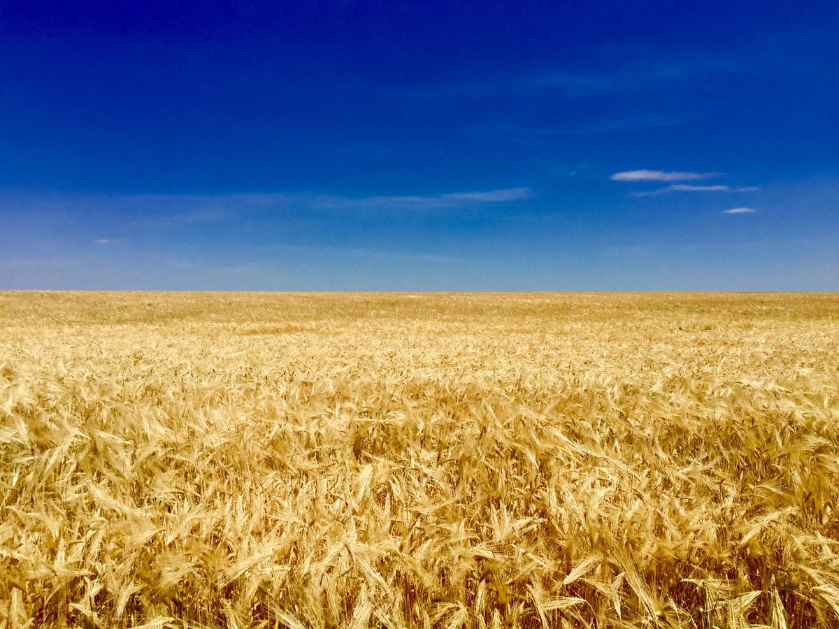 Yields might not increase but profitability and sustainability would while at the same time, volatility would reduce.End of thread.