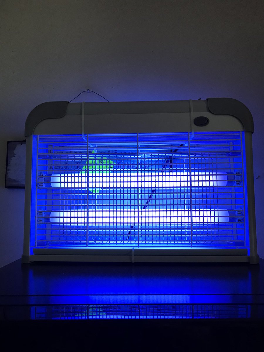 waringmartin's tweet photo. New purchase and not a bloody fly to zap anywhere! #waiting #frytime https://t.co/Tsk9G9hRQo