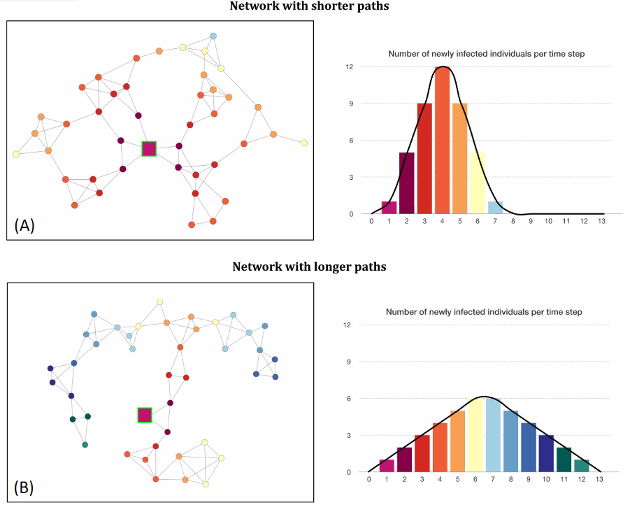 signormirko's tweet photo. Now at #COSTNET virtual meeting: Marion Hoffman illustrates how social distancing strategies could be based on the structure of social #networks. #COVID19 #statstwitter #epitwitter https://t.co/GEqicHx7qs
