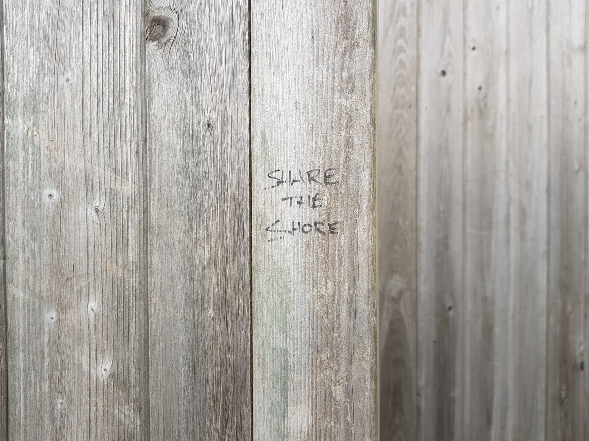 shanemuk's tweet photo. #ShareTheShore #Greenisland https://t.co/eIWx56ZaeO