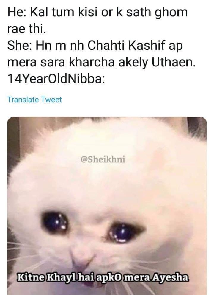 asma_sultan's tweet image. My favorite memes ♥️
Tag your #nibbis and #Kashif 😂