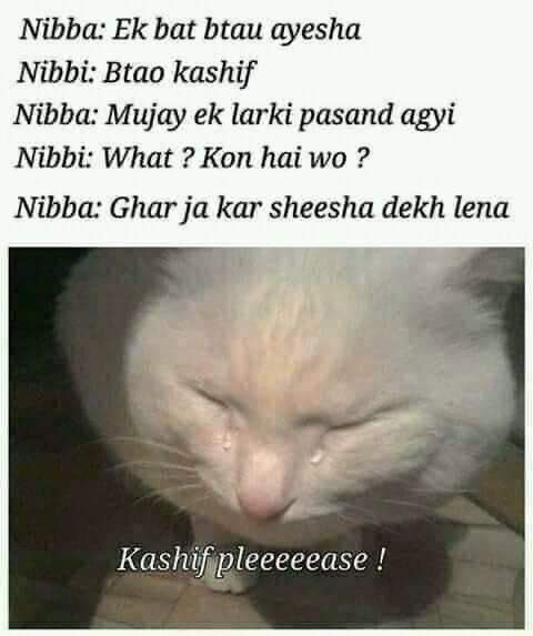 asma_sultan's tweet image. My favorite memes ♥️
Tag your #nibbis and #Kashif 😂