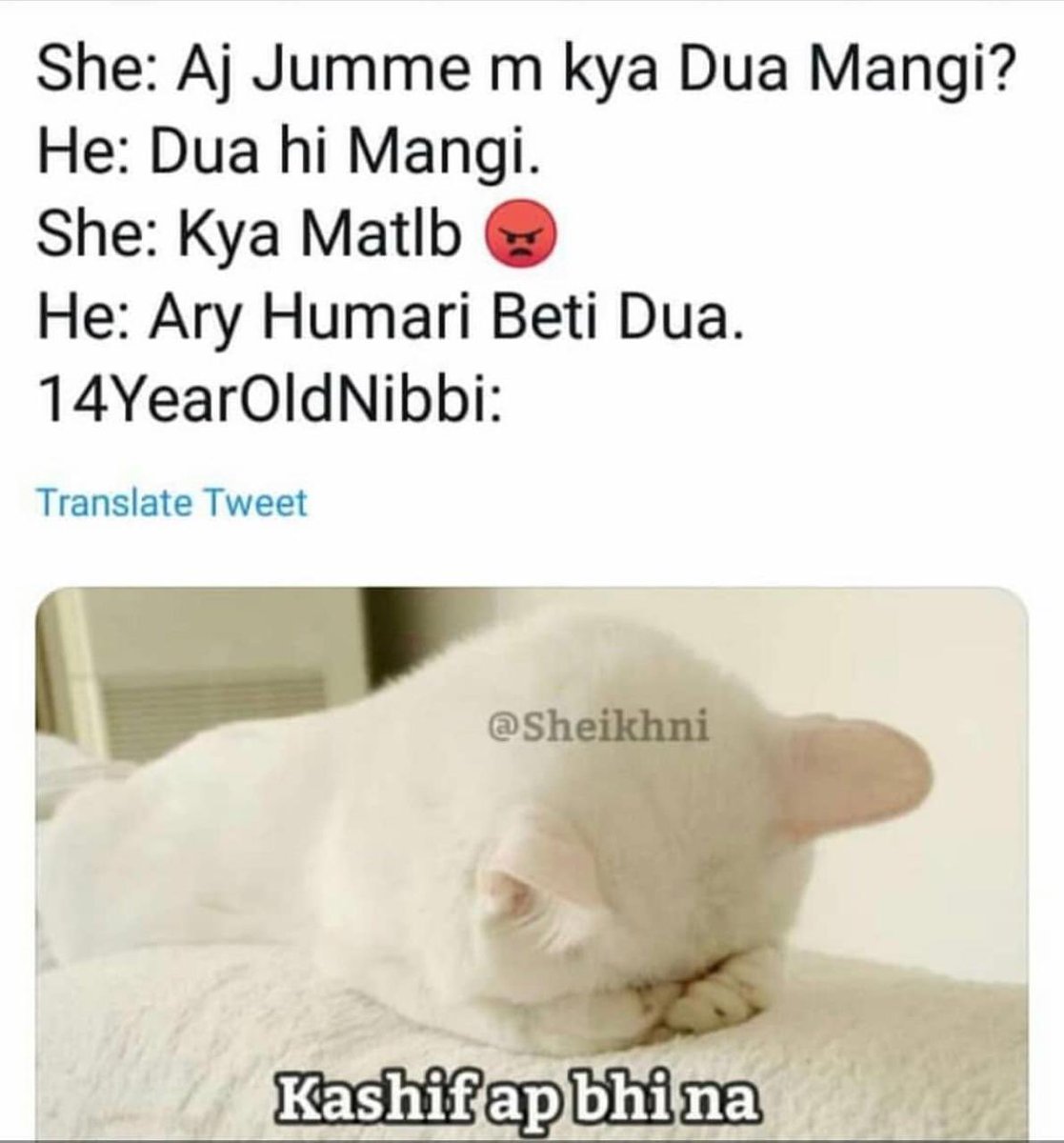 asma_sultan's tweet image. My favorite memes ♥️
Tag your #nibbis and #Kashif 😂