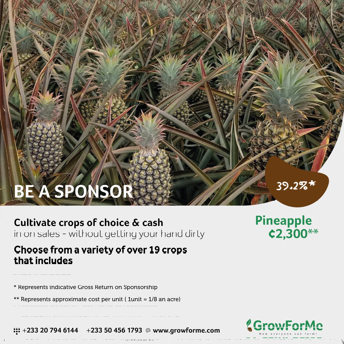growformeafrica's tweet photo. Pineapples are a huge deal. You can cash in on them and by sponsoring a farm today.
Visit https://t.co/flDaAGpqvK to learn how to farm- without getting your hands dirty! #GFM
#GrowForMe #DigitalFarming #Farming #Africa #Ghana #Digital #Farmer #BeaSponsor  #Agriculture #COVID__19 https://t.co/fY078Pn28P