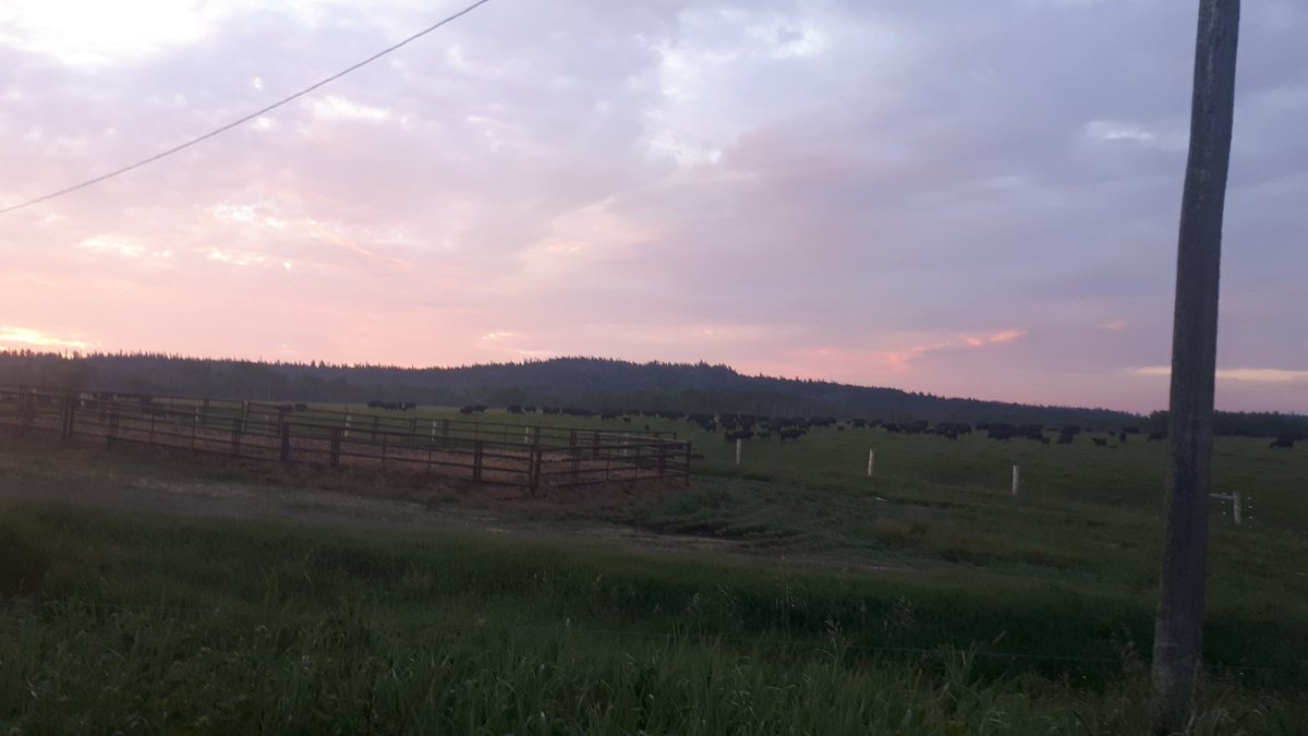 ....And the morning greets the ranch ....Bless the Lord o my soul .<a href="/WildernessRanch/">Wilderness Ranch</a> north .