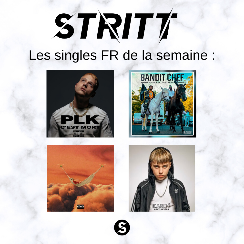 StrittNews's tweet photo. Sorties singles de la semaine 💿

🇺🇸

MM&amp;SS (Eminem &amp; Kid Cudi)
Compensating (Aminé)
SWAG (YG)
Hate me now (Desiigner)
Party Girls (Staysolidrocky)
Give up (Russ)

🇫🇷

C'est mort (PLK)
Bandit chef (Niska)
Flemme (SEB)
Mouv' du boug (Kanoe)

#eminem #rap #kidcudi #niska #plk #seb https://t.co/biTzWkeLAD