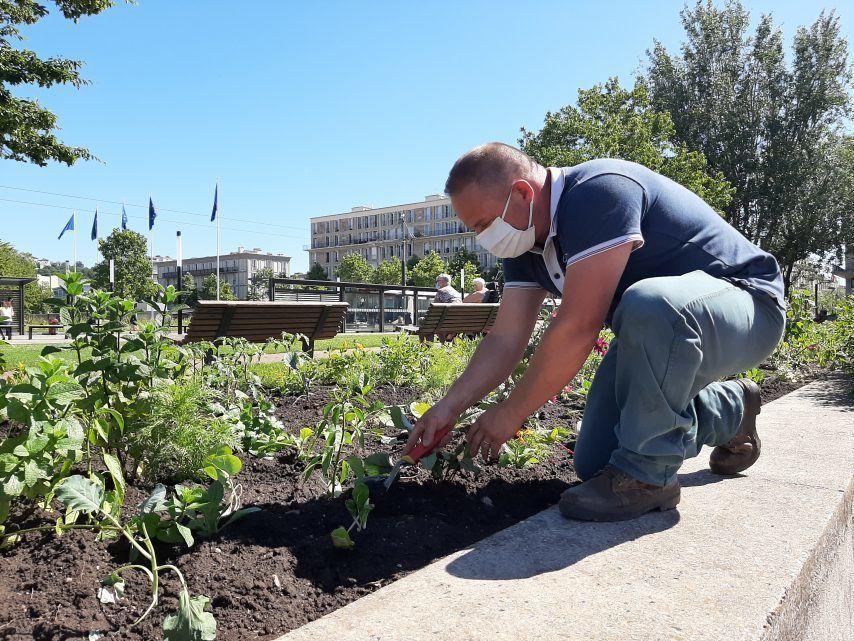 Aujourd'hui, débute des ateliers "trucs et astuces" au Havre dans le #jardin #potager de la ville. Vous y allez ? 🧤🥕
buff.ly/2O5yC3d