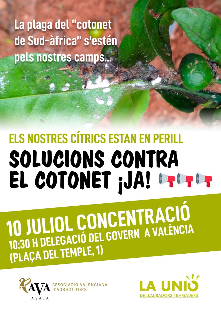 juanviperezaras's tweet photo. Con @ava_asaja @UnioLlauradors @pv_upa exigiendo soluciones a la crisis agrícola del #CampoValenciano desarmado contra las plagas #Reciprocidad #Complementariedad #MenosPromesas #MasSoluciones https://t.co/0TgRqZbvo2