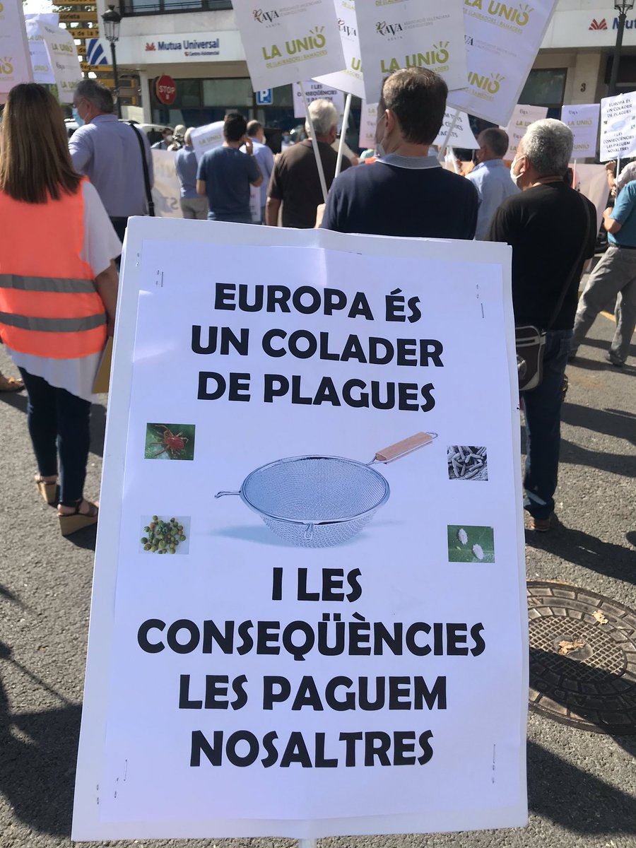juanviperezaras's tweet photo. Con @ava_asaja @UnioLlauradors @pv_upa exigiendo soluciones a la crisis agrícola del #CampoValenciano desarmado contra las plagas #Reciprocidad #Complementariedad #MenosPromesas #MasSoluciones https://t.co/0TgRqZbvo2