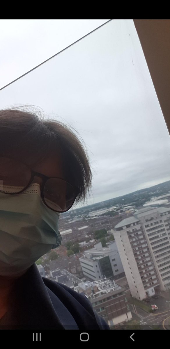 Carol McCullough 🦓 ⚡🐬🗿 tweet media