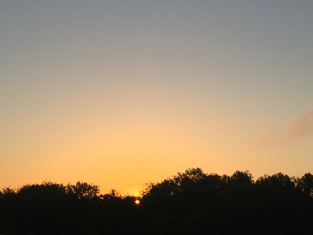 ExposomeHealth's tweet photo. Friday morning,
the sun’s glowing. 
On the west,
a man is fishing. 

#amsunlight https://t.co/fzdkNkGhBy