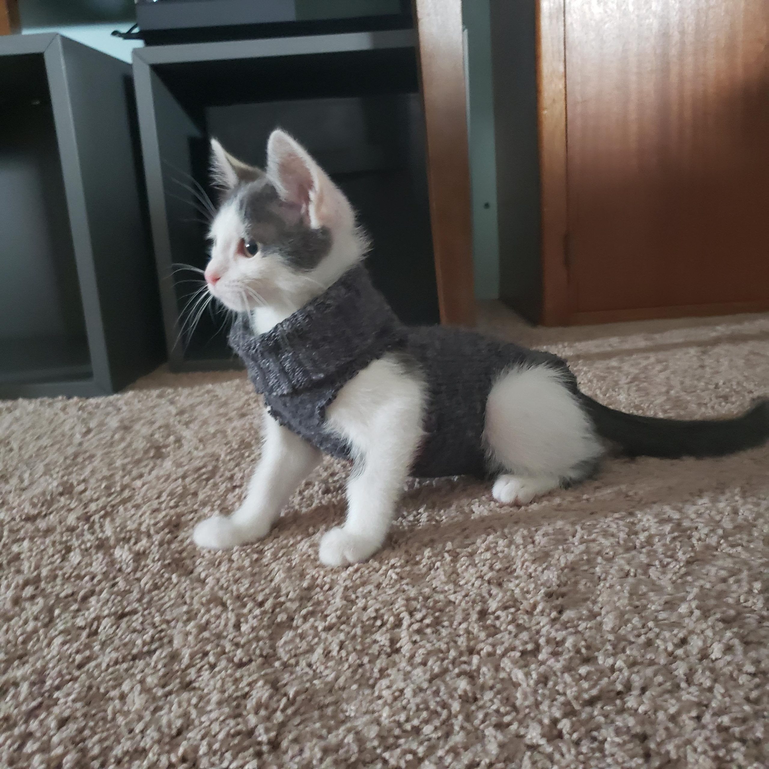 Cat top sock onesie