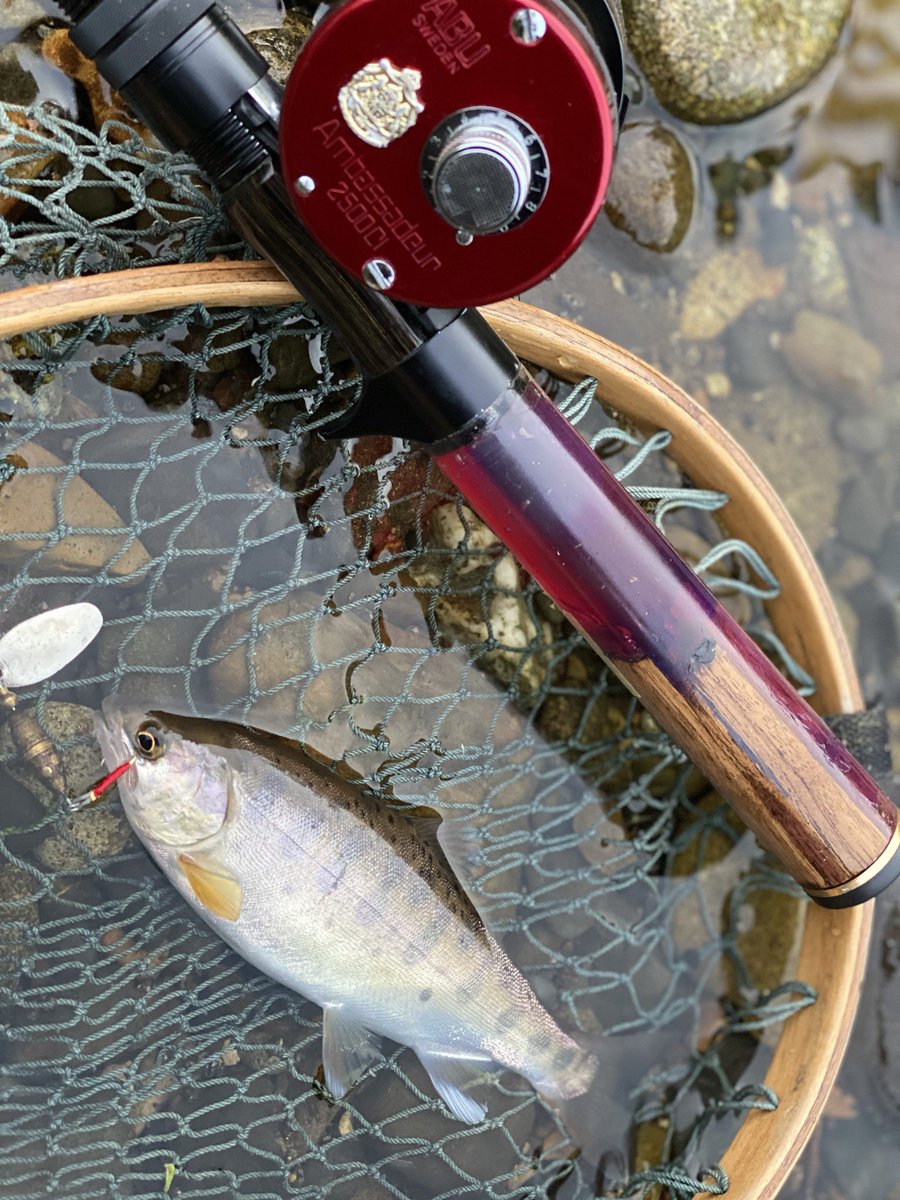 Hideaki Kikuchi ほんと美しい ヤマメ 山女魚 十勝 北海道 アブガルシア アンバサダー2500c ベイトフィネス ルアーフィッシング ミノーイング Lurefishing Trout Hokkaido 自作ロッド Originalrod ウッドレジン Woodresin