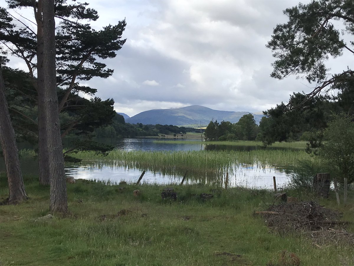 weeyinontour's tweet photo. Why wouldn’t you do some #exercise first thing in the morning. #crackingviews @CairngormsToday @cairngormsnews #lochpityoulish #rural #riverspey @boatofgarten https://t.co/KAUjC8trmW