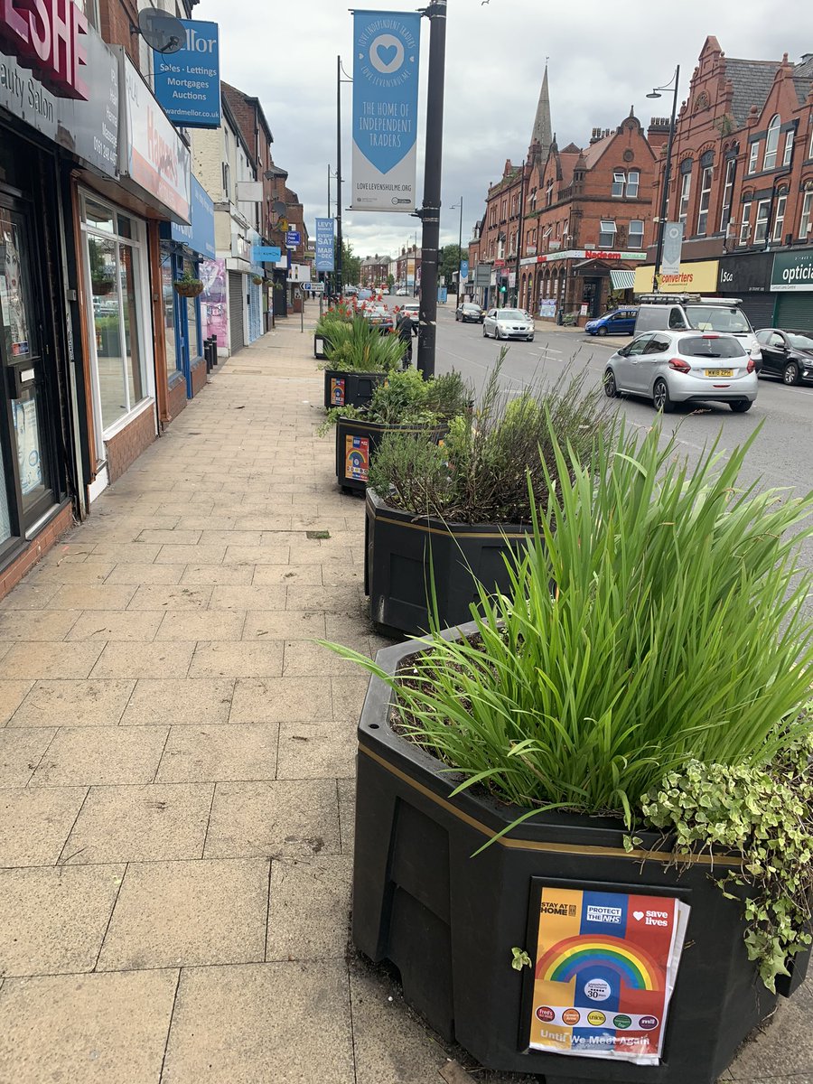 levenshulmelife's tweet photo. Many thanks to everyone who has helped contribute to #LevenshulmeinBloom great to see all the flowers and planters blooming again, especially the #Wildflowers https://t.co/pvgCdJQKtF