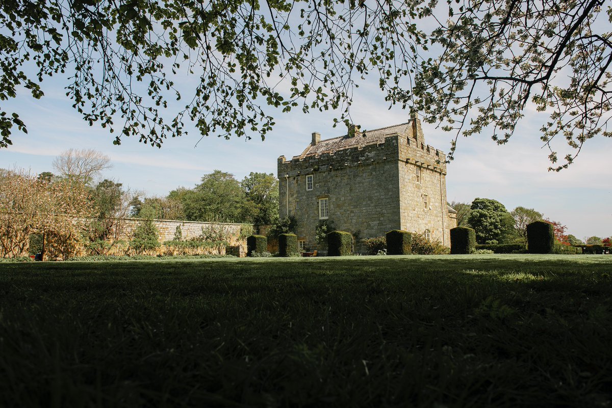 Shortflatt Concierge tweet media