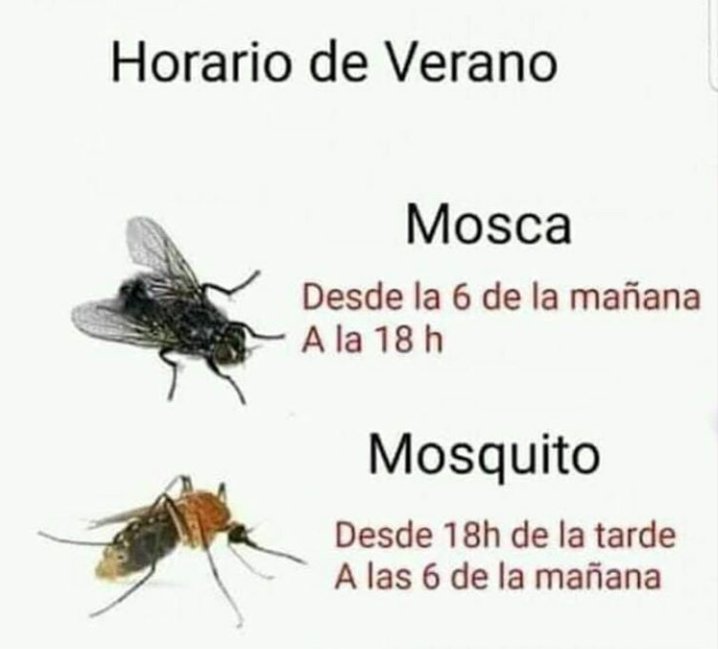 Frases Made In Spain Pa Twitter Moscas Y Mosquitos Moscas Y Mosquitos Moscas Y Mosquitos Moscas Y Mosquitos