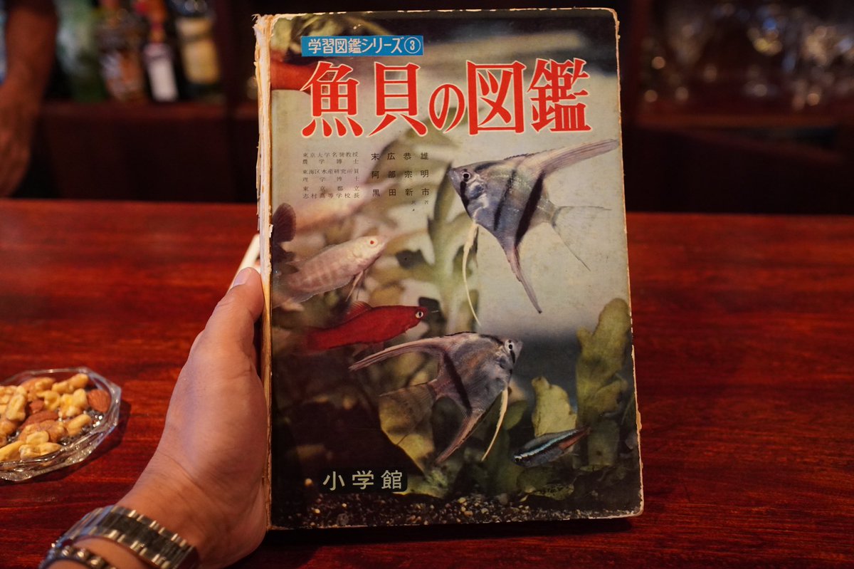 テラヤマアニ Thinkマスターが採ってる蛸はぽうちゃたつやが買い取って店で出してたりするんだってー