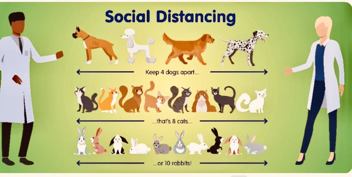 Barrmorevets's tweet photo. @Barrmorevets we are protecting clients and staff by not allowing access into the practice. All pet/medicine handovers are done outside so please help us all stay staff by maintaining a safe distance #StaySafe #pets #vets https://t.co/RneBGpm7wv