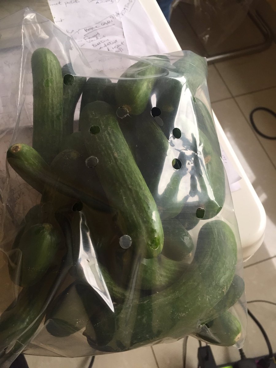 iamscaz's tweet photo. Hi Fam, I’m into Agri business especially vegetables like seedless cucumbers, all kind of colored capsicums (peppers), beef / plum tomatoes e.t.c please help retweet and support my business. https://t.co/amPOXiyY1l