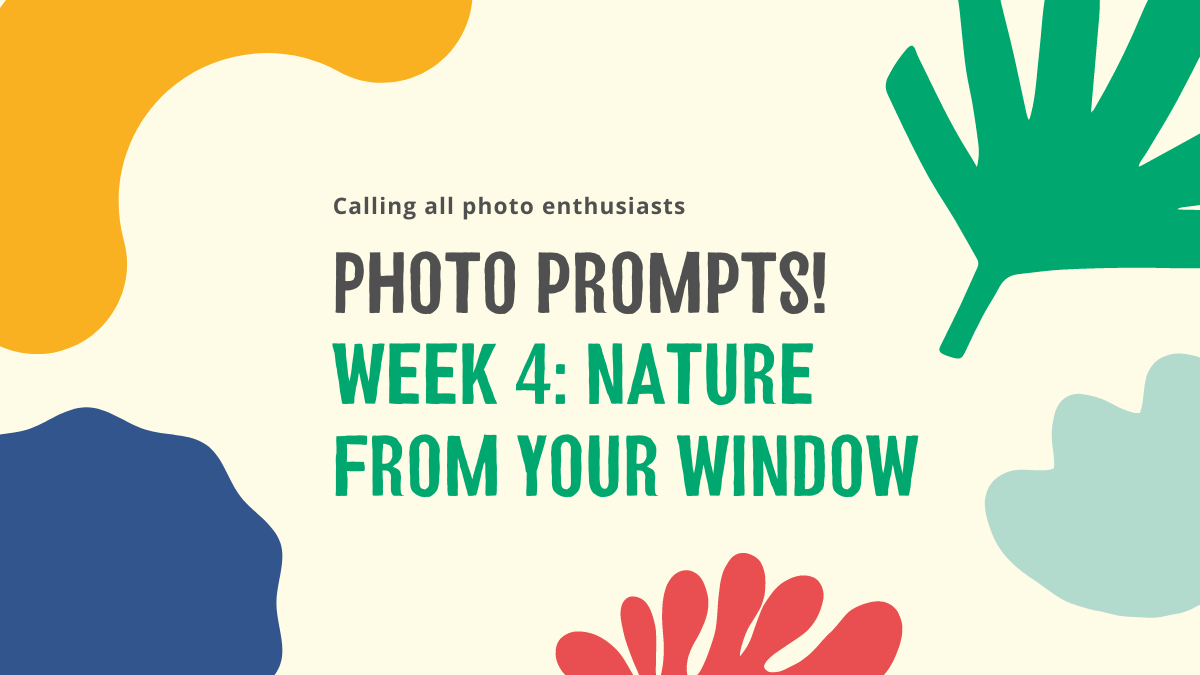 TreesforCities's tweet photo. Don't forget to join our weekly photo challenge! Show us your #viewfrommywindow and tag your photos #TFCsnaps β¨
Learn more: https://t.co/Ix9AssesGX https://t.co/9uXhR16bY8
