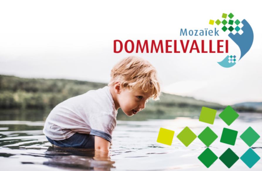 mozaiekdv's tweet photo. Onze spik-spliter-nieuwe digitale nieuwsbrief staat online! #dommel #water #inhetgroenewoud Lees 'm hier: https://t.co/YUQgttpNp3 https://t.co/QkLtvLK0yr