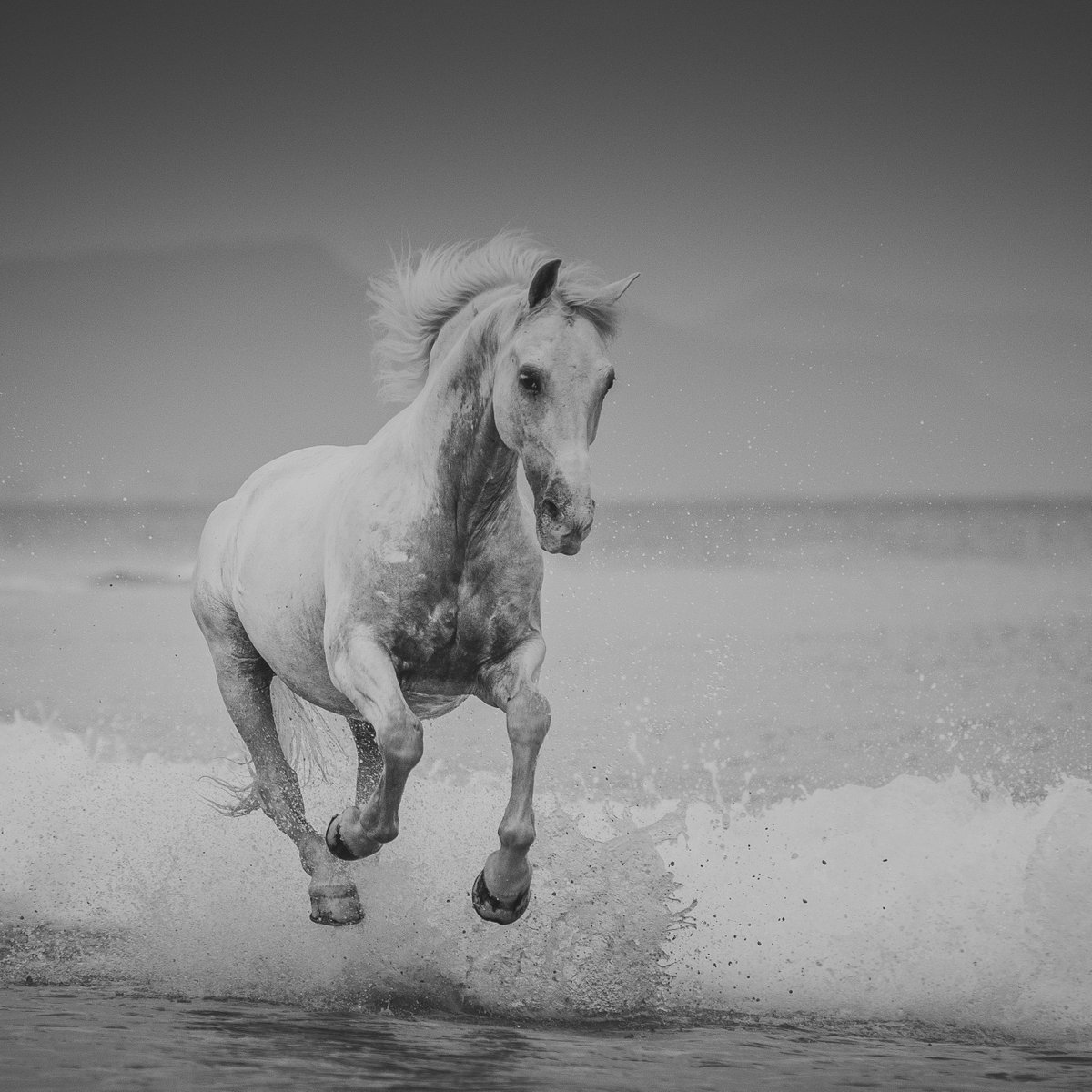 Find out more about the Going Digital team of photography tutors around the UK and the things they love to photograph.  goingdigital.co.uk/meet-the-team