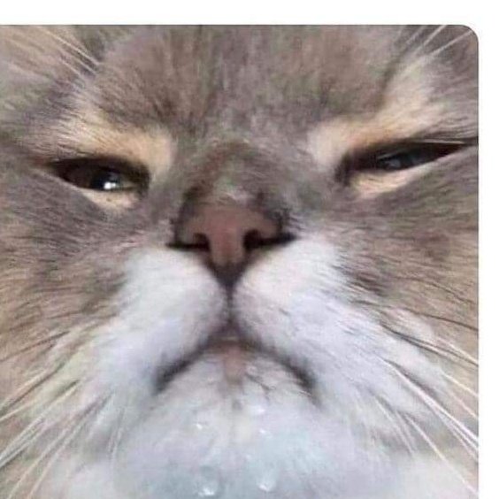 hd_lizard's tweet image. #NewProfilePic