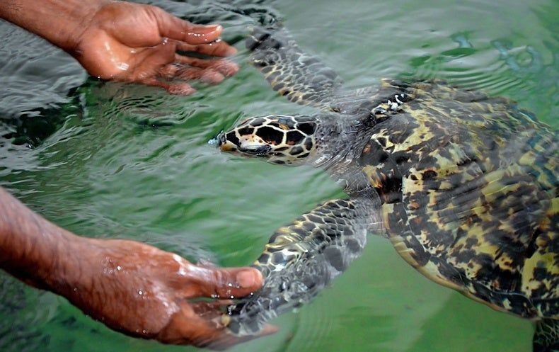 Every coastline needs a LOCAL hero. 70% of our coastlines are in the developing world, but representation is disproportional. The harsh truth is, if we aren’t being inclusive &amp; equitable, we aren’t going to move the needle on the things that really matter👉buff.ly/2NPZ14P