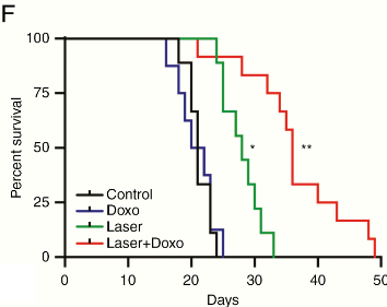 afshin salehi, M.D., M.S., FAANS tweet media