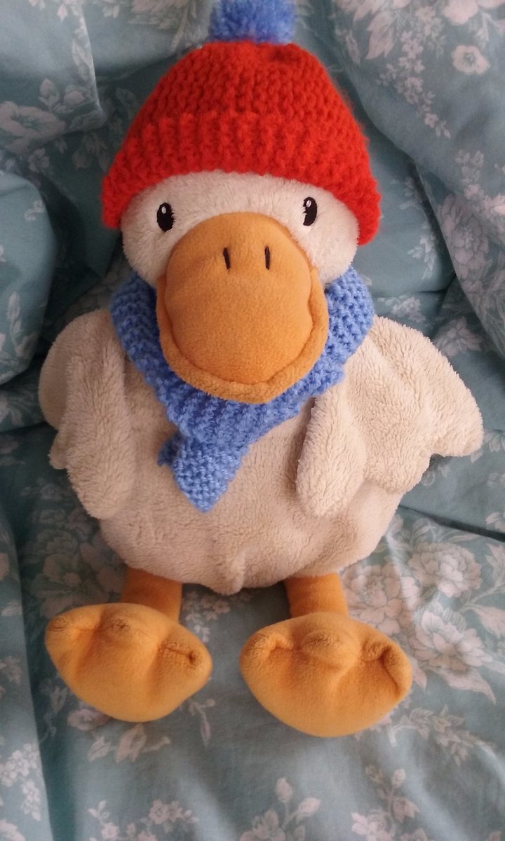 ReevesLj's tweet photo. I've been practicing how to knit and managed to make a little scarf and hat. Puddle duck is happy being a model and even more excited that he gets to keep the goodies too :D
#learningtoknit #knitting https://t.co/XE3fSI7KUZ