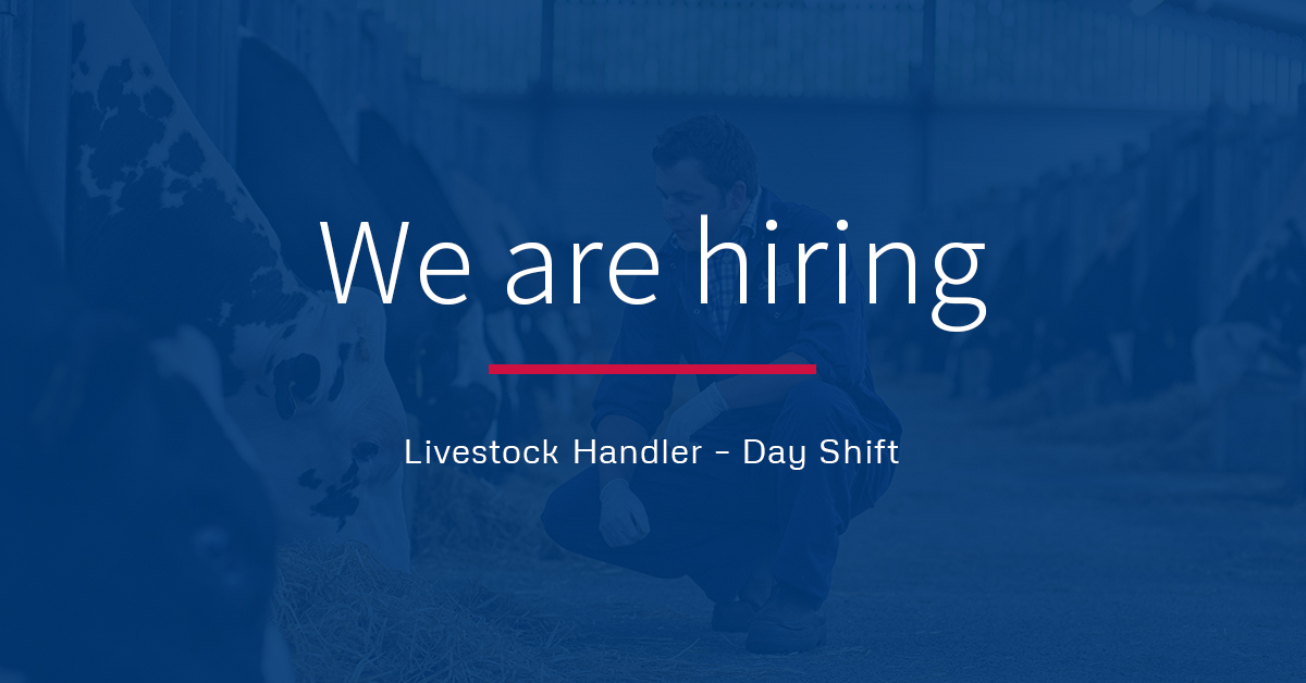 Now hiring a Livestock Handler! This position will be based at locations around the Deforest, WI and the Dekorra, Wi area. See posting for more details:  absglobal.com/jobs/livestock…