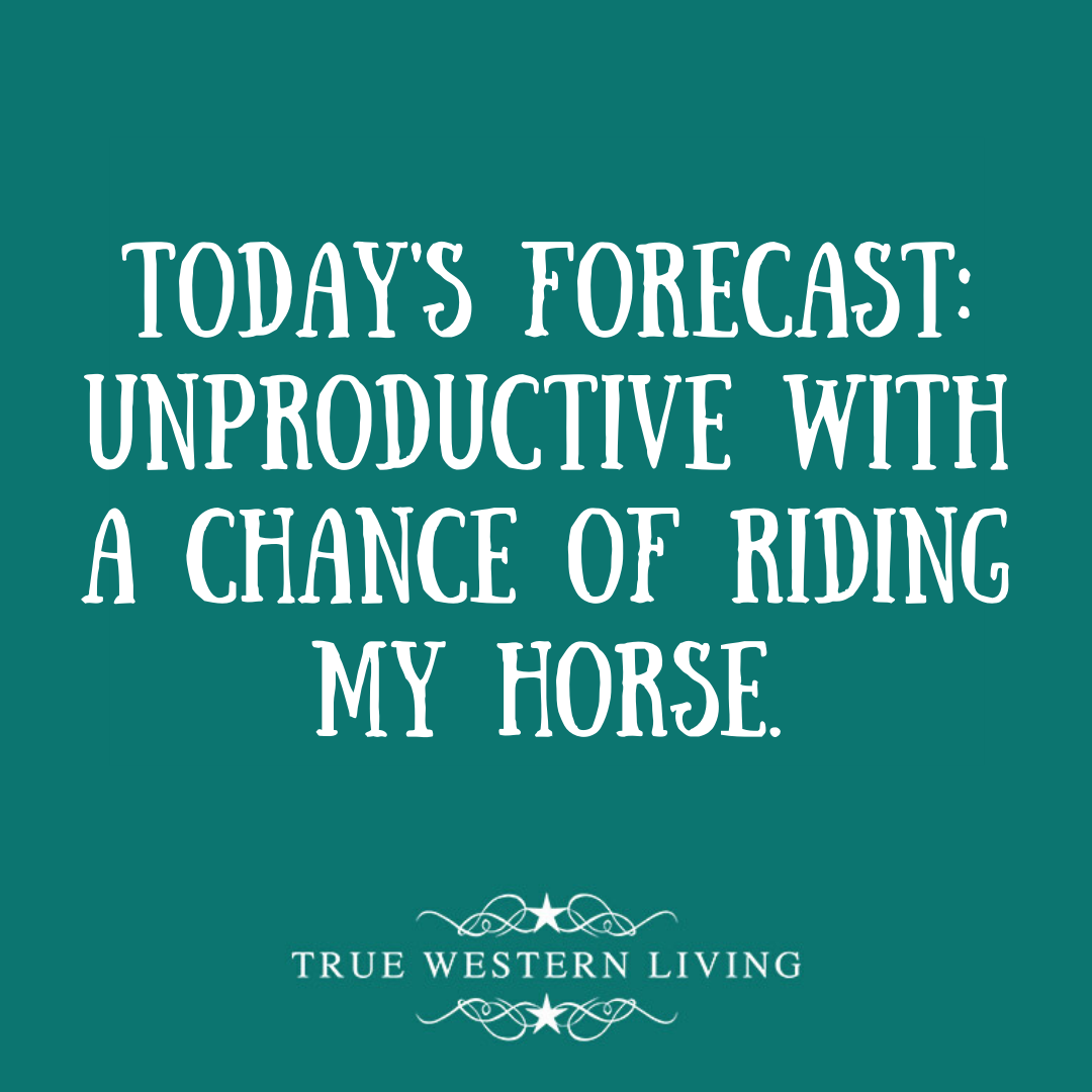 rodswestern's tweet photo. Happy Friday, y'all! Hope your day involves some quality time with your horse! https://t.co/Ztz3HF8oeH
