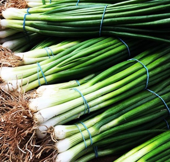 BornTasty's tweet photo. British grown Salad Onions from our Worcestershire Farm. 
How good will they look in your salad or Stir Fry? 😋
@VegPowerUK #springonions #britishfood #Vegan #veganism #vegetarian #Salad https://t.co/dEeoCu7Oy9