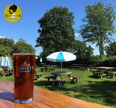 Elephant's Head Pub tweet media