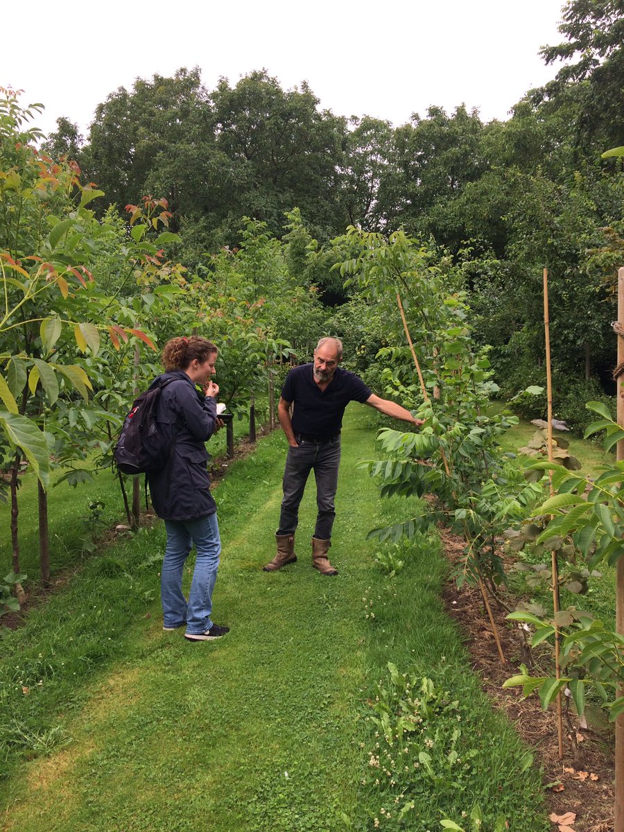 Start #agroforesty netwerk Gelderland! Bezoeken aan Doornik natuurakkers, de deNootsaeck en boerderij van Brord Sloot van Ossenwaard te Herwen. Wat een enthousiasme en deskundigheid👌.    Excursies, workshops en bedrijfsplannen in t verschiet <a href="/NatuurMilieuGld/">Natuur en Milieu Gelderland</a> <a href="/ProjectenLTON/">Projecten LTO Noord</a>