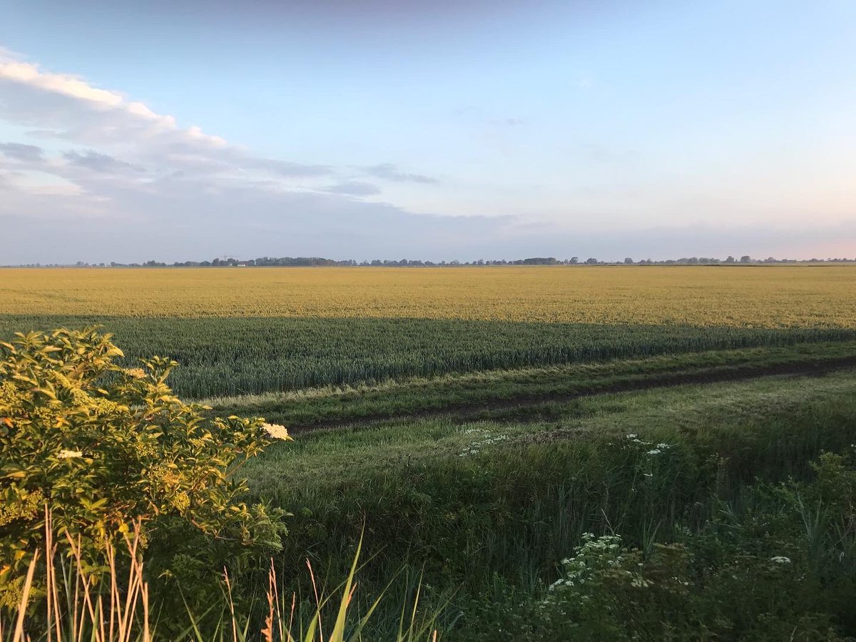 posipeople's tweet photo. Beautiful scenes at Positive Park’s fibreoptic-rich #SiliconFen!
We're feeling so fortunate to own & operate our own #datacentre in this #epicentre of #renewables, using only #green electricity from 100% #renewable sources such as #windturbines across the region 🌱🌏
#greenhost https://t.co/FUbHc2dj5Q