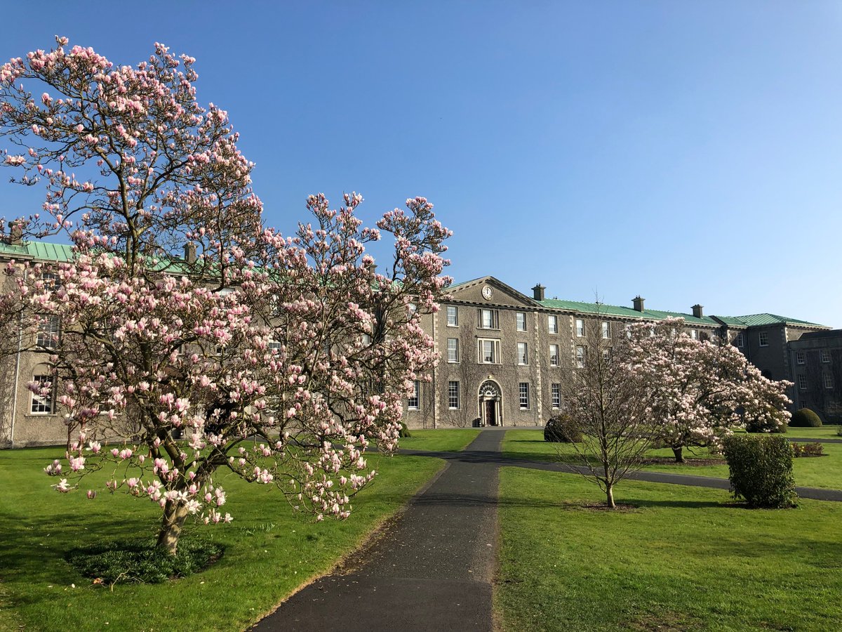 Fergus Ryan/Fearghus Ó Riain (@ferguswryan) on Twitter photo We <a href="/MaynoothLaw/">MU School of Law & Criminology</a> are advertising 2 Asst. Lecturer positions (10-month contract; sabbatical cover) for 2020-21. One position is in public international law and international trade law. Deadline 2 Aug 20 at 23h30: universityvacancies.com/maynooth-unive… #law #jobs #jobfairy #internationallaw We <a href="/MaynoothLaw/">MU School of Law & Criminology</a> are advertising 2 Asst. Lecturer positions (10-month contract; sabbatical cover) for 2020-21. One position is in public international law and international trade law. Deadline 2 Aug 20 at 23h30: universityvacancies.com/maynooth-unive… #law #jobs #jobfairy #internationallaw