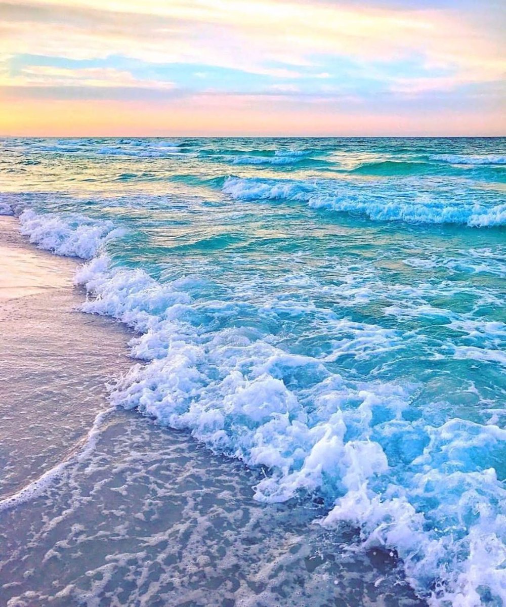 Seashells 🐚
Sandy Toes 👣
And Sunsets 🌅
Just another day on AMI! 🏝
#AnnaMariaIsland

📷: mermaidinmountains
