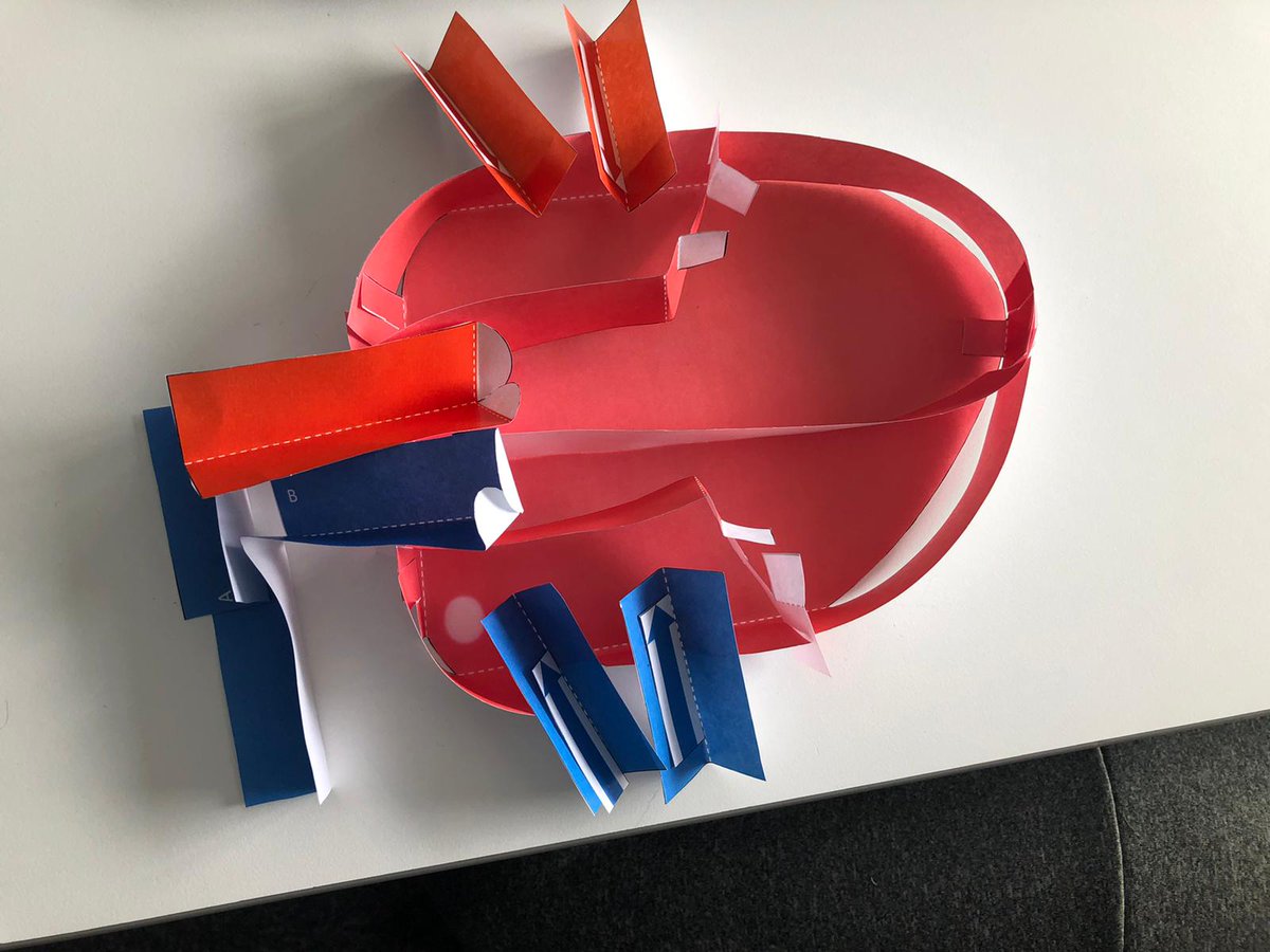 Appletonscience's tweet photo. Year 10 have been busy making origami hearts this morning @AppletonAcademy https://t.co/hY0VMbSre2