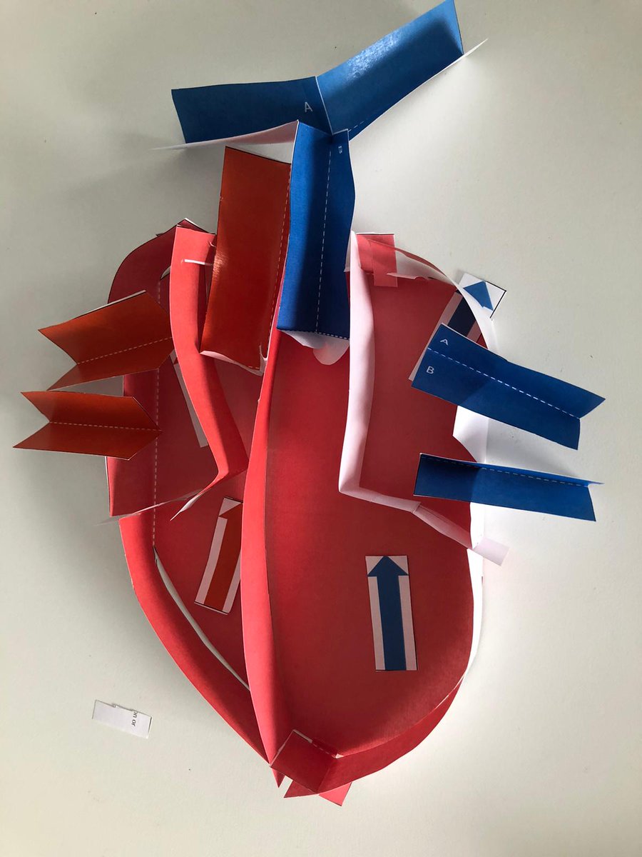 Appletonscience's tweet photo. Year 10 have been busy making origami hearts this morning @AppletonAcademy https://t.co/hY0VMbSre2