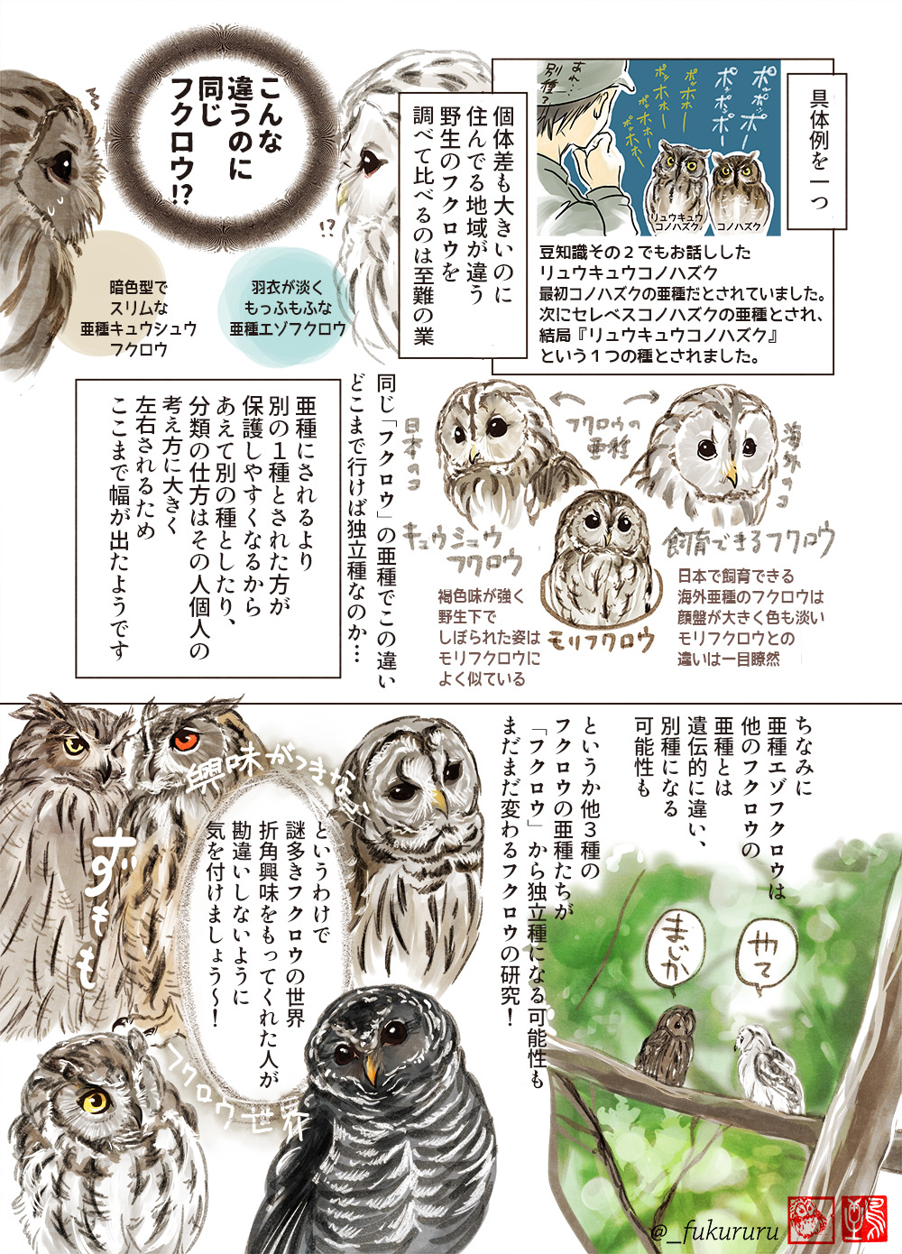 永田 鵄 в X: „～それはへんだよ～ フクロウ豆知識その4 「この