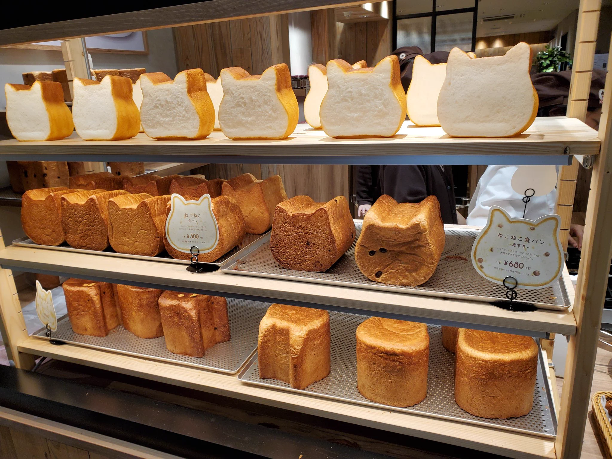 @neko_factory 静岡店に行きましたよ〜！ 