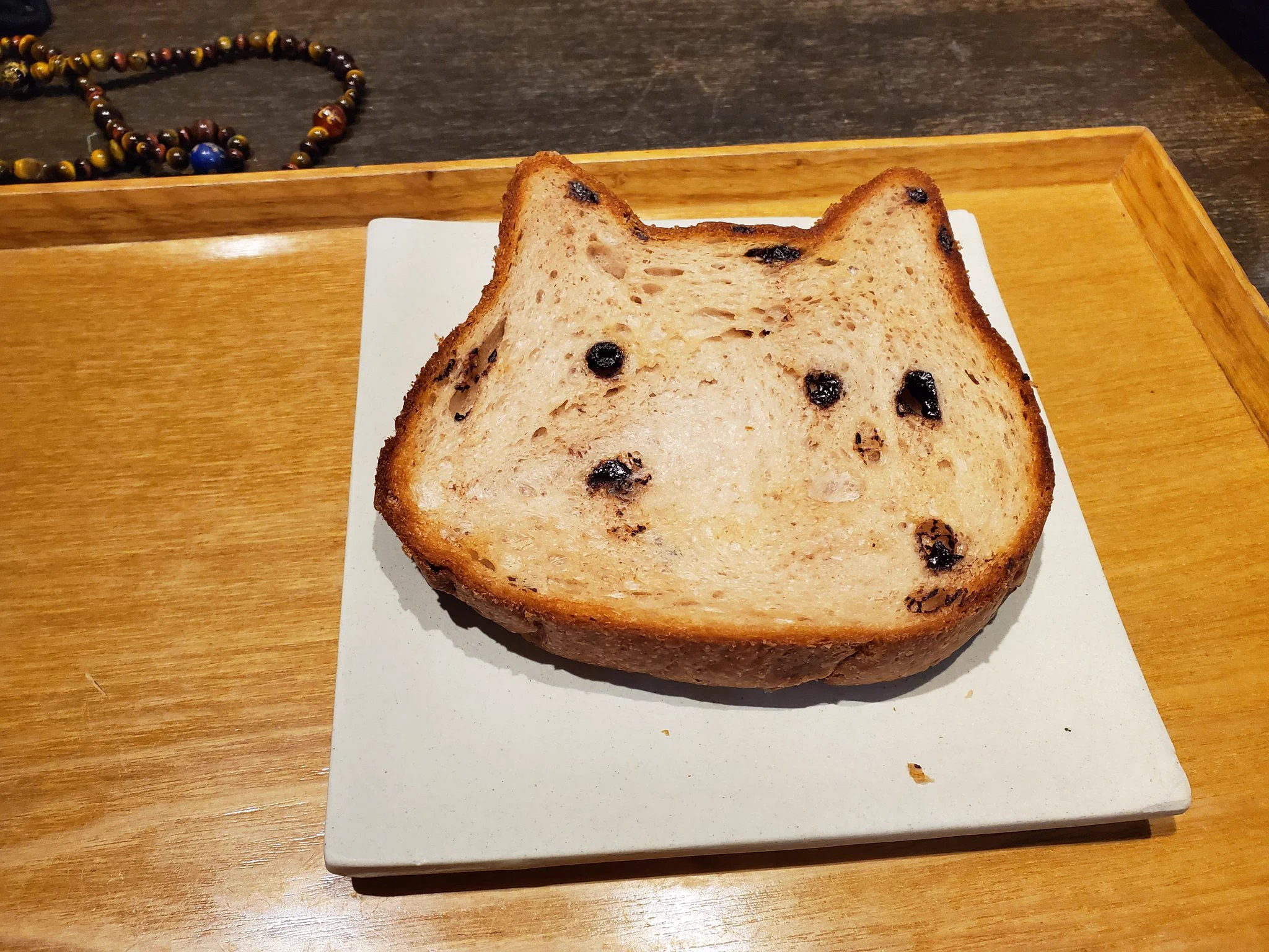 @neko_factory 静岡店に行きましたよ〜！ 