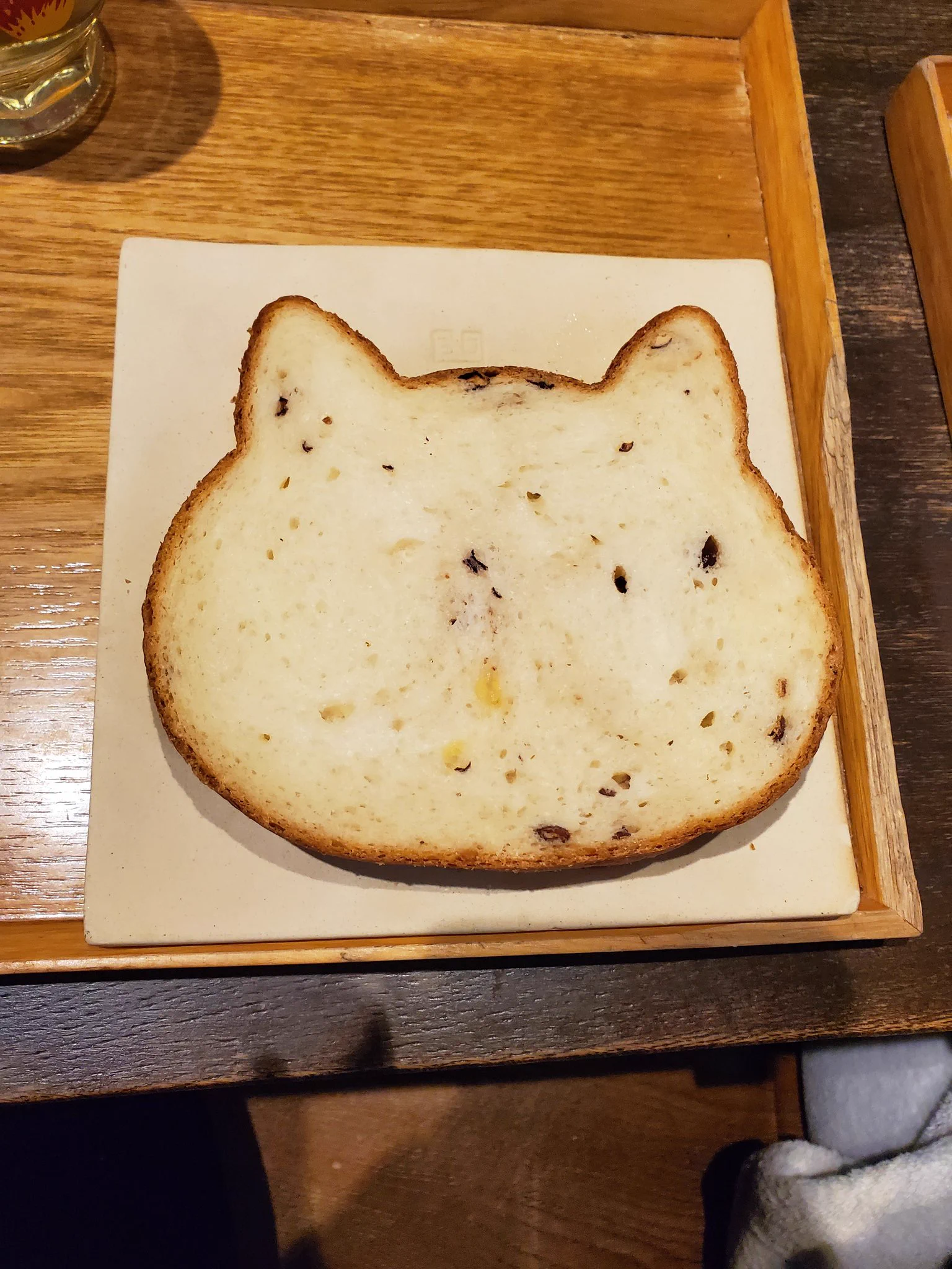 @neko_factory 静岡店に行きましたよ〜！ 