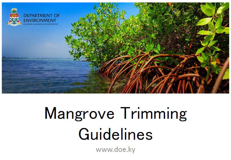 doecayman's tweet photo. The DoE's Mangrove Trimming Guidelines (https://t.co/bbfYBXYPwr) provide also information on the #ConservationPlan. The trimming of #mangroves that belong to the Crown (i.e. outside of your property, the Mean High Water Mark) needs a Section 20 permit by the NCC. #CaymanIslands https://t.co/GLN14DrWdH
