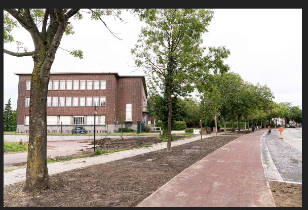Koen_Kennis's tweet photo. Vlotter dan ooit fietsen van #Ringfietspad over Collegelaan naar #Rivierenhof #Ringfietspad @BorgerhoutTV @borgerhout @nvaborgerhout @DistrictDeurne @antwerpenize @FietsberaadVL @FietsersbondBE https://t.co/h97mgAKIoj https://t.co/ypUumsUW1N