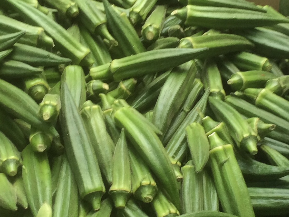 KernanFarms's tweet photo. No corn yet but it's the first of the season for our #JerseyFresh OKRA at today's #UWS 97th St Greenmarket! We also have #TreeRipened red & white Donut Peaches and Sugar Plums! Shop your favorite farmers early before #TSFay gets here!
-Merrie https://t.co/oozvtNgCfP