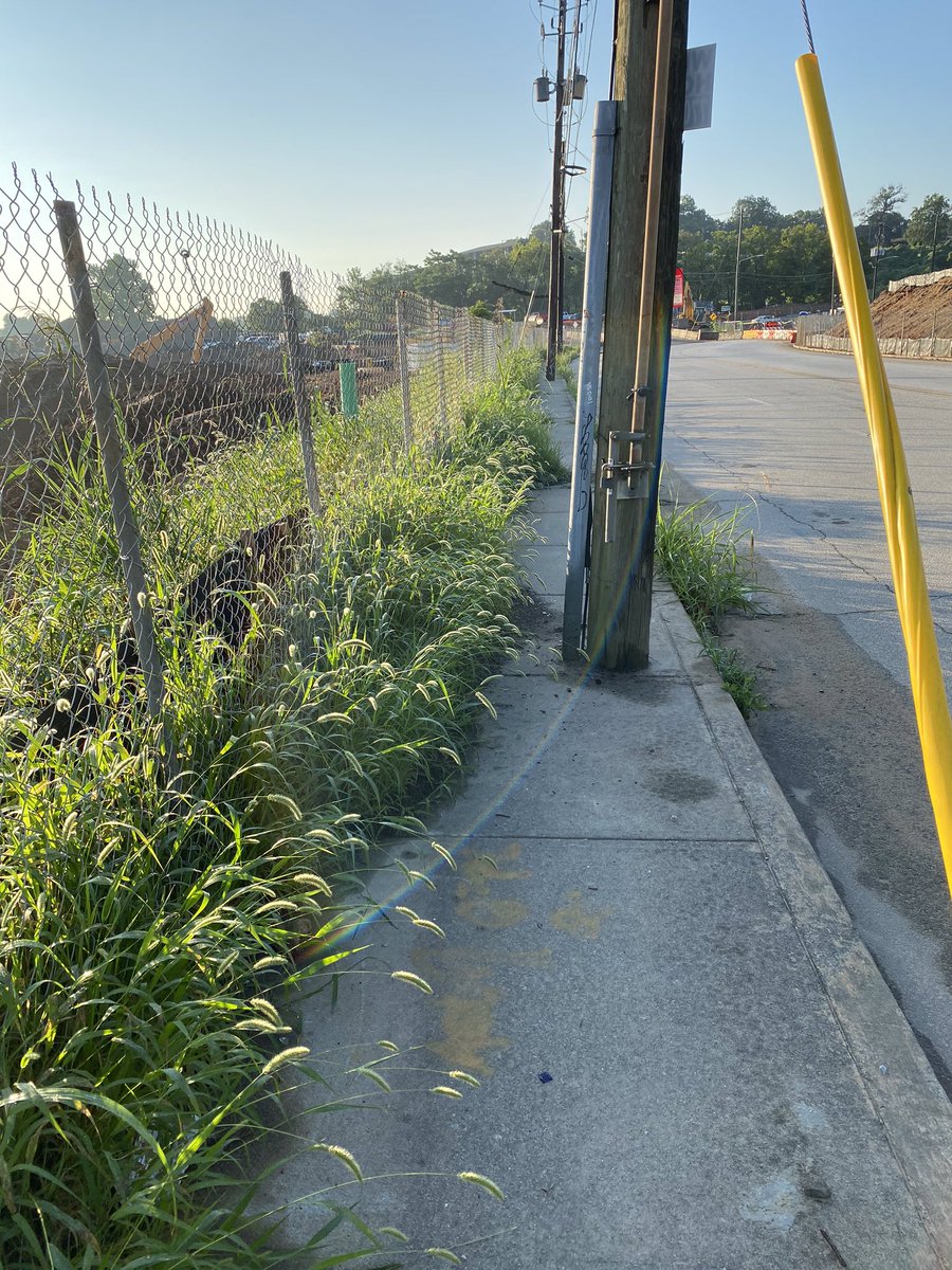 More from Milton Ave. It is as unfriendly to pedestrians as any street in the city at the moment. Even where there are sidewalks.